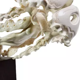 Скульптура "Океан желаний" из бивня мамонта